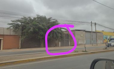 Inscrito en Registros Publicos