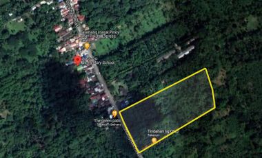 For Sale Agricultural Farm Lot Indang, Cavite