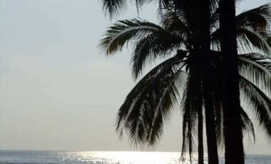 Pantla cerca Ixtapa 6 Has en venta con 300 m2 frente de playa T537