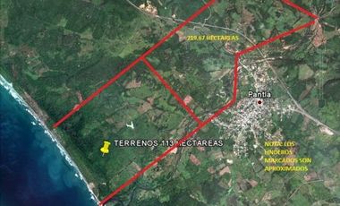 Pantla cerca Ixtapa 6 Has en venta con 300 m2 frente de playa T537