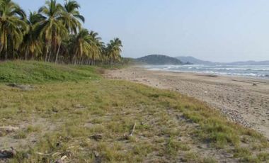 Pantla cerca Ixtapa 6 Has en venta con 300 m2 frente de playa T537