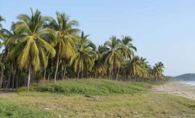 Pantla cerca Ixtapa 6 Has en venta con 300 m2 frente de playa T537