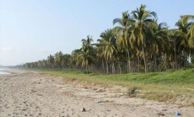 Pantla cerca Ixtapa 6 Has en venta con 300 m2 frente de playa T537