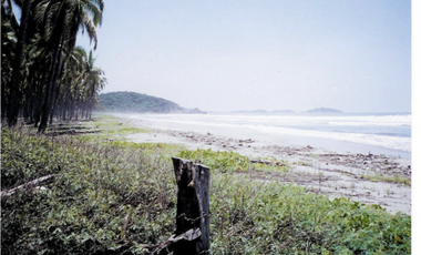 Pantla cerca Ixtapa 6 Has en venta con 300 m2 frente de playa T537