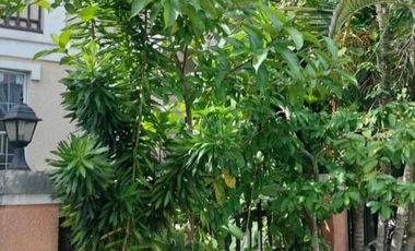 2 storey House and Lot Sale in Mia Vita Subdivision, Brgy. Dalig, Antipolo City near Vista Mall