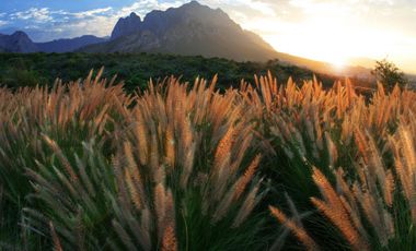 Terreno en Venta Residencial Cordillera, Valle Poniente, Santa Catarina