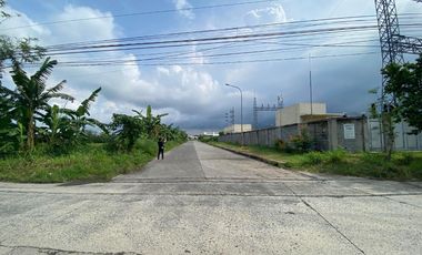 Land for sale for industrial development in Calamba, Laguna