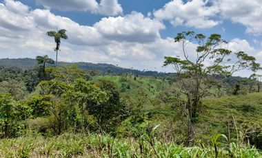 Terreno en venta Pastaza - Puyo ideal para cultivo