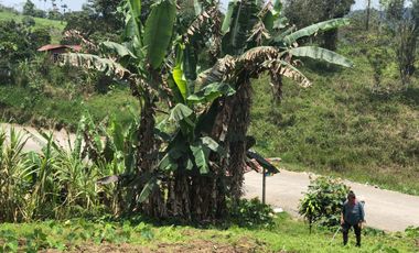 Terreno en venta Pastaza - Puyo ideal para cultivo