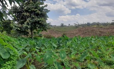 Terreno en venta Pastaza - Puyo ideal para cultivo