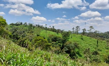 Terreno en venta Pastaza - Puyo ideal para cultivo