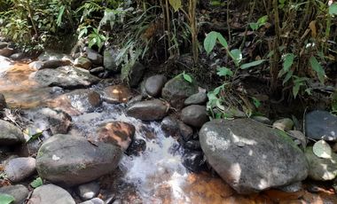Terreno en venta Pastaza - Puyo ideal para cultivo