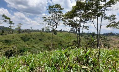 Terreno en venta Pastaza - Puyo ideal para cultivo
