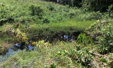 Terreno en venta Pastaza - Puyo ideal para cultivo