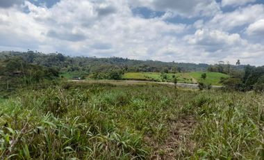 Terreno en venta Pastaza - Puyo ideal para cultivo