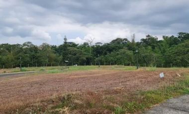 Tagaytay Highlands Residential Lot For Sale in Tivoli Place