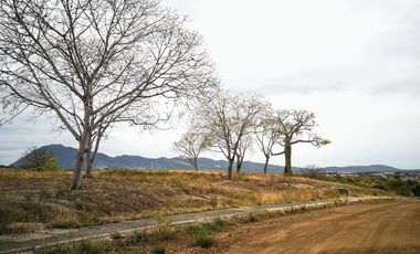 VENTA TERRENO, SECTOR LA TEJEDORA, A 5 MINUTOS DEL AEROPUERTO ELOY ALFARO DE MANTA, TRAMO 3 VÍA CIRCUNVALACIÓN