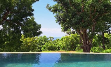 For Sale Brand new beautiful resort close to the beach available with legal entity ( PT. PMA ) in quiet north Bali