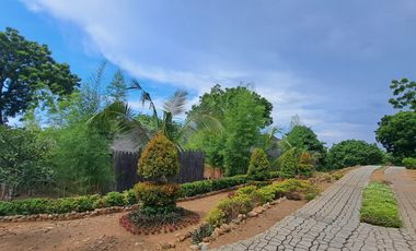 For Sale Brand new beautiful resort close to the beach available with legal entity ( PT. PMA ) in quiet north Bali