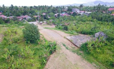 Lot for Sale -corner lot 130 sqm in Silang Cavite