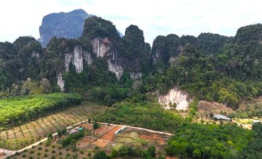 Exceptional 1.5 Rai Land for Sale with Stunning Mountain Views in Khao Thong, Krabi