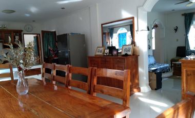 10,934 sq.m. farm resort for sale with a house overlooking the sea- Negros Occ. @P22M