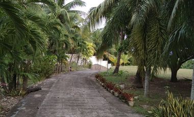 10,934 sq.m. farm resort for sale with a house overlooking the sea- Negros Occ. @P22M