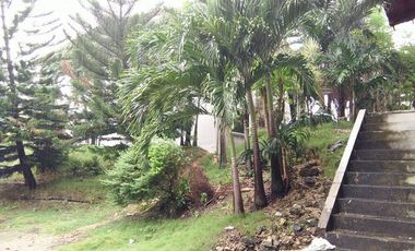 10,934 sq.m. farm resort for sale with a house overlooking the sea- Negros Occ. @P22M