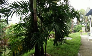 10,934 sq.m. farm resort for sale with a house overlooking the sea- Negros Occ. @P22M