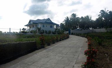 10,934 sq.m. farm resort for sale with a house overlooking the sea- Negros Occ. @P22M