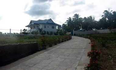 10,934 sq.m. farm resort for sale with a house overlooking the sea- Negros Occ. @P22M