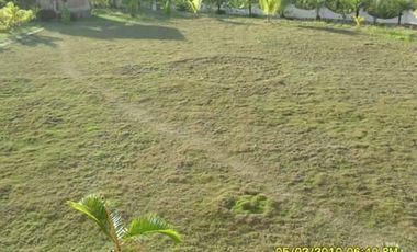 10,934 sq.m. farm resort for sale with a house overlooking the sea- Negros Occ. @P22M