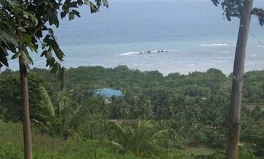 10,934 sq.m. farm resort for sale with a house overlooking the sea- Negros Occ. @P22M