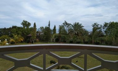 10,934 sq.m. farm resort for sale with a house overlooking the sea- Negros Occ. @P22M