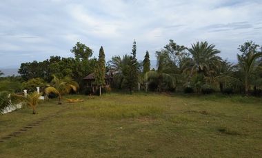 10,934 sq.m. farm resort for sale with a house overlooking the sea- Negros Occ. @P22M