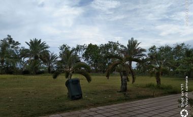 10,934 sq.m. farm resort for sale with a house overlooking the sea- Negros Occ. @P22M