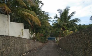 10,934 sq.m. farm resort for sale with a house overlooking the sea- Negros Occ. @P22M
