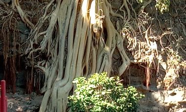 $1,856,304 Casco Antiguo: Vista Panorámica, DEPARTAMENTO 3 RECAMARAS, Cocoyoc, Yautepec Morelos