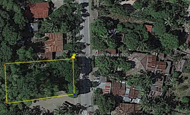 Pavia Iloilo City Vacant Lot For Lease or Rent
