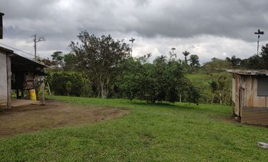 Vendo quinta de 03 hectáreas, sector La Libertad del Toachi, Santo Domingo