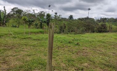 Vendo quinta de 03 hectáreas, sector La Libertad del Toachi, Santo Domingo