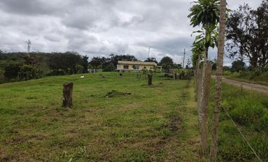 Vendo quinta de 03 hectáreas, sector La Libertad del Toachi, Santo Domingo