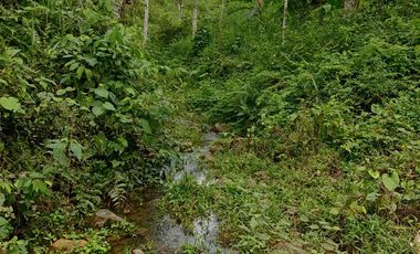 Vendo quinta de 03 hectáreas, sector La Libertad del Toachi, Santo Domingo