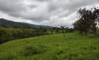 Vendo quinta de 03 hectáreas, sector La Libertad del Toachi, Santo Domingo