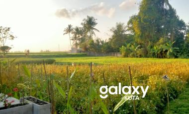 DISEWAKAN VILLA RAYA TUNON SINGAKERTA UBUD GIANYAR, BALI