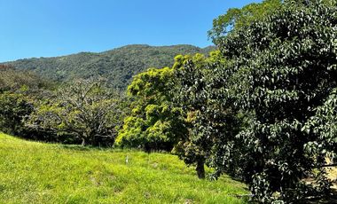 VENTA DE LOTE HACIENDA SAN JOSE L07 , SAN JERONIMO ANTIOQUIA