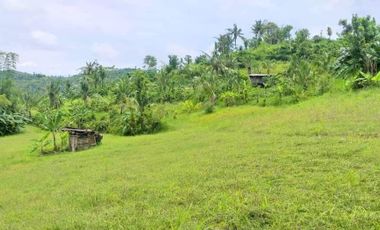 MOUNTAIN VIEW RESIDENTIAL LOT FOR SALE IN CARCAR CEBU