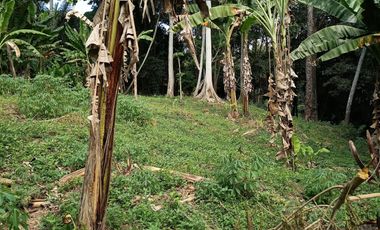 Freehold - 3050 Sqm Riverside View Beyond Canggu
