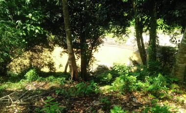Freehold - 3050 Sqm Riverside View Beyond Canggu