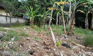 Freehold - 3050 Sqm Riverside View Beyond Canggu